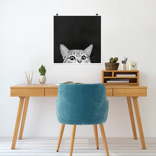Billeder katte Illustration Cat Black And White Drawing