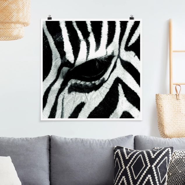 Billeder zebraer Zebra Crossing
