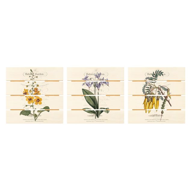 Billeder Botanical Tableau Set I