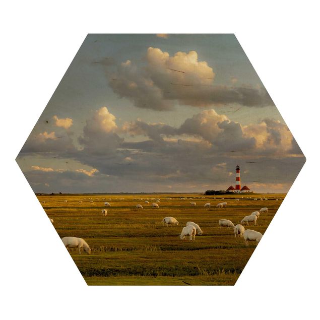 Billeder North Sea Lighthouse With Flock Of Sheep