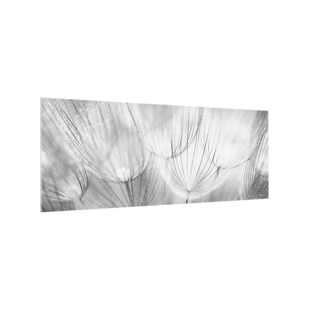 Stænkplader glas Dandelions Macro Shot In Black And White