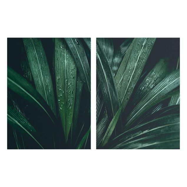 Billeder grøn Green Palm Leaves