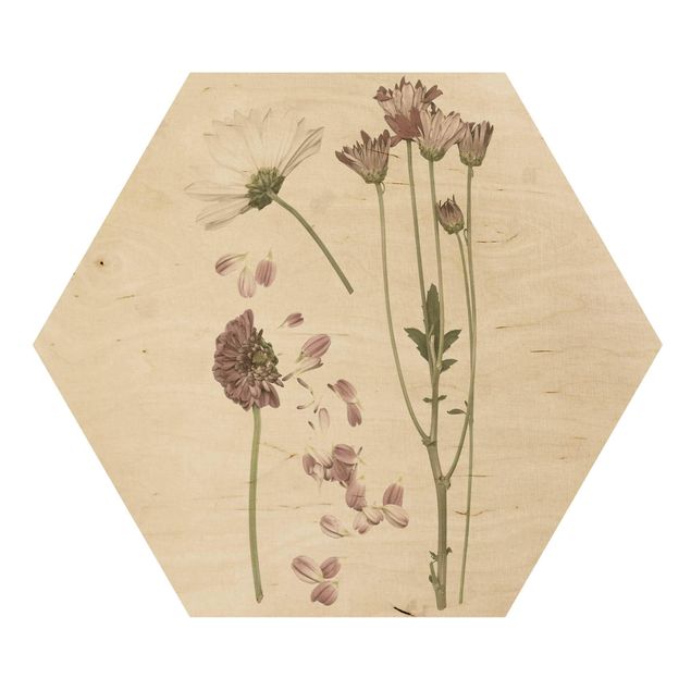 Sekskantede billeder Herbarium In Pink II