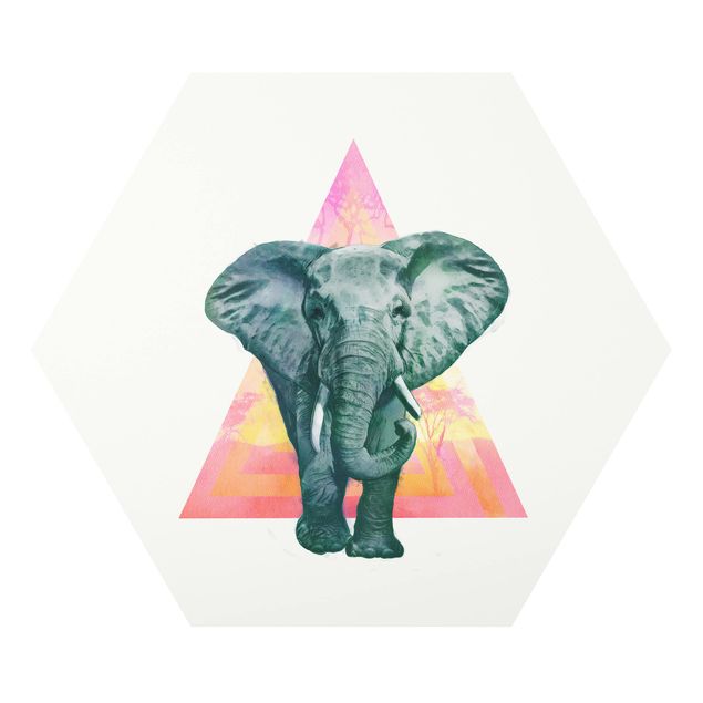 Billeder dyr Illustration Elephant Front Triangle Painting