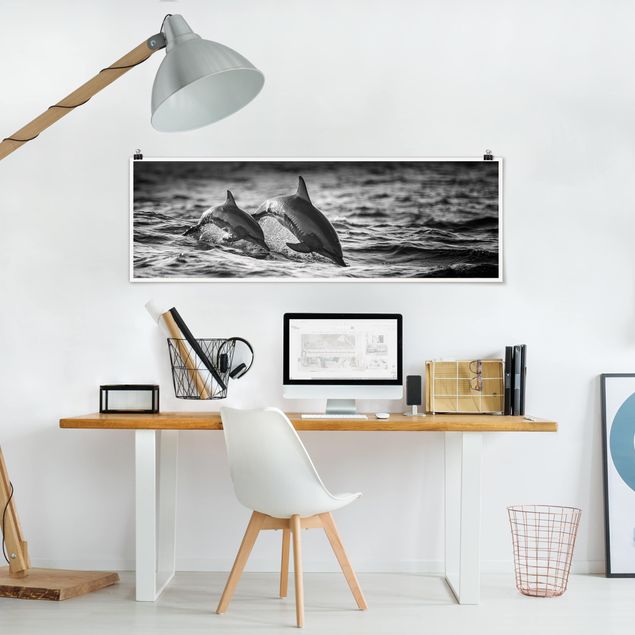 Plakater sort og hvid Two Jumping Dolphins