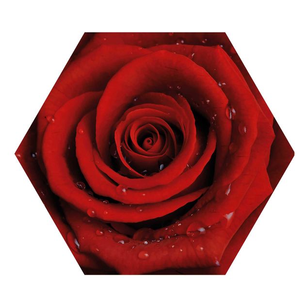 Hexagon Bild Holz - Rote Rose mit Wassertropfen