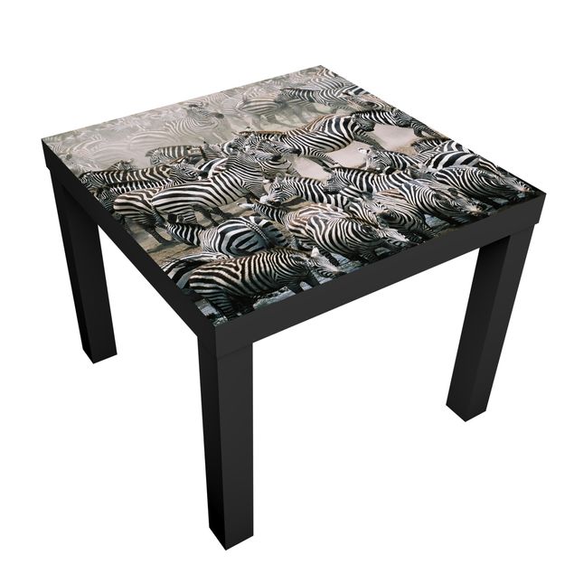 Møbelfolier Zebra Herd