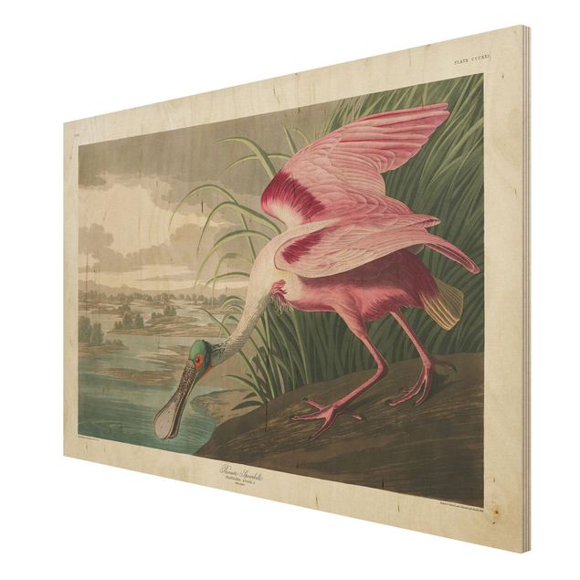 Prints på træ vintage Vintage Board Pink Sturgeon
