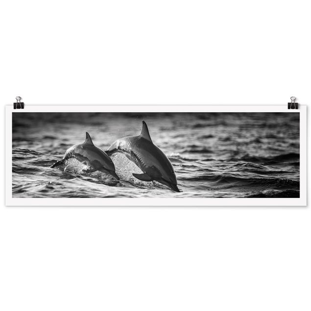 Plakater dyr Two Jumping Dolphins