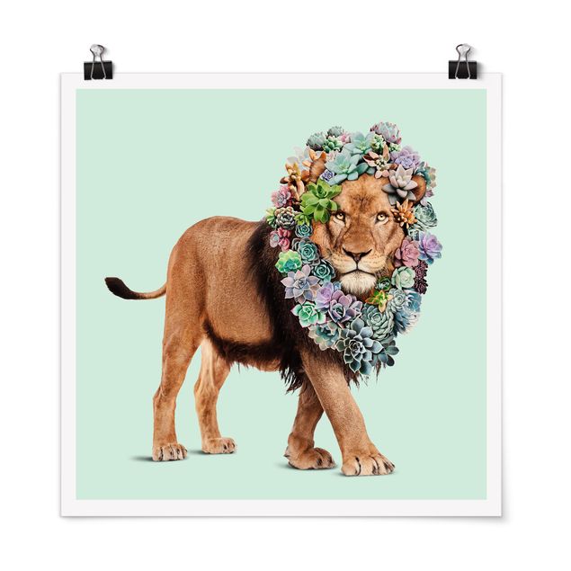 Billeder lions Lion With Succulents