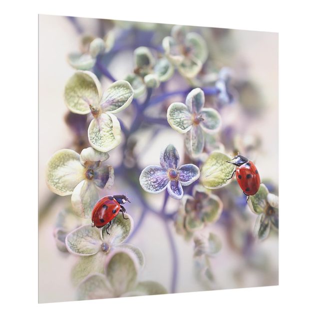 Stænkplader glas Ladybugs In The Garden