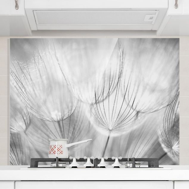 køkken dekorationer Dandelions Macro Shot In Black And White