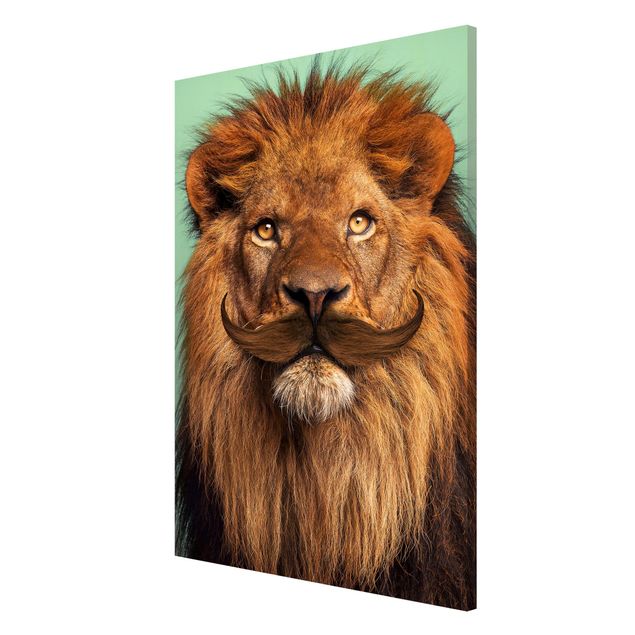 Billeder lions Lion With Beard