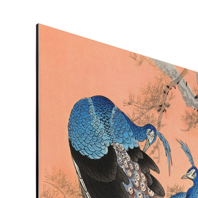 Billeder lyserød Vintage Illustration Asian Peacock L