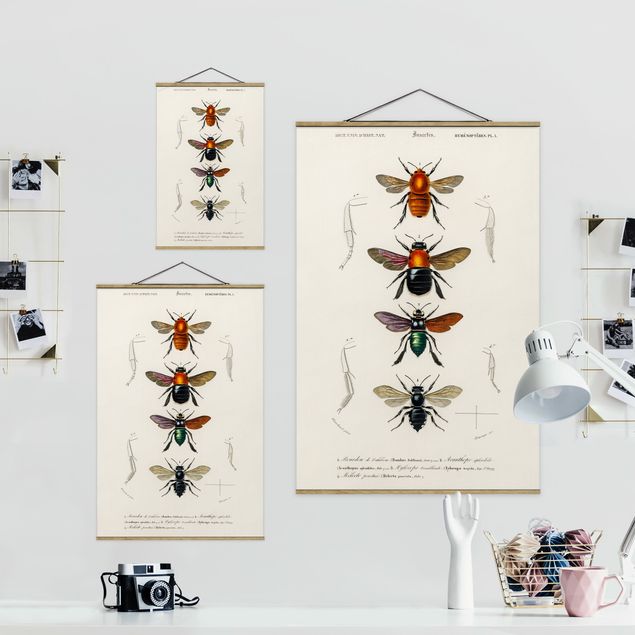 Billeder Vintage Board Insects