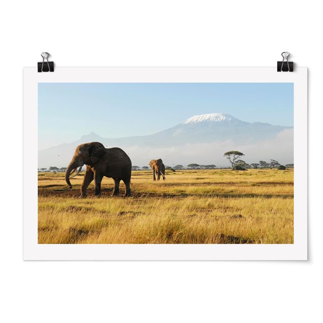 Billeder landskaber Elephants In Front Of The Kilimanjaro In Kenya