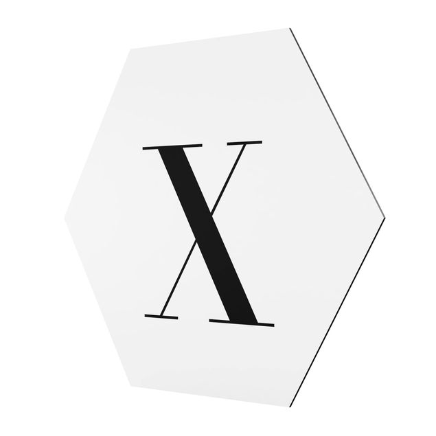 Sekskantede billeder Letter Serif White X