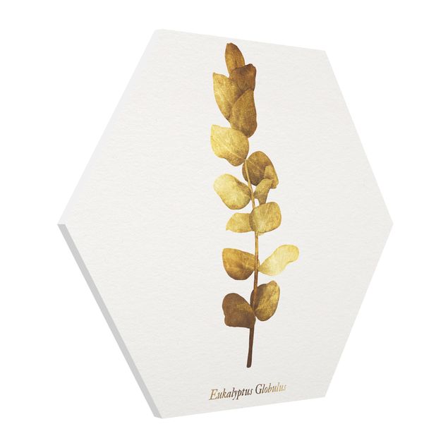 Billeder ordsprog Gold - Eucalyptus