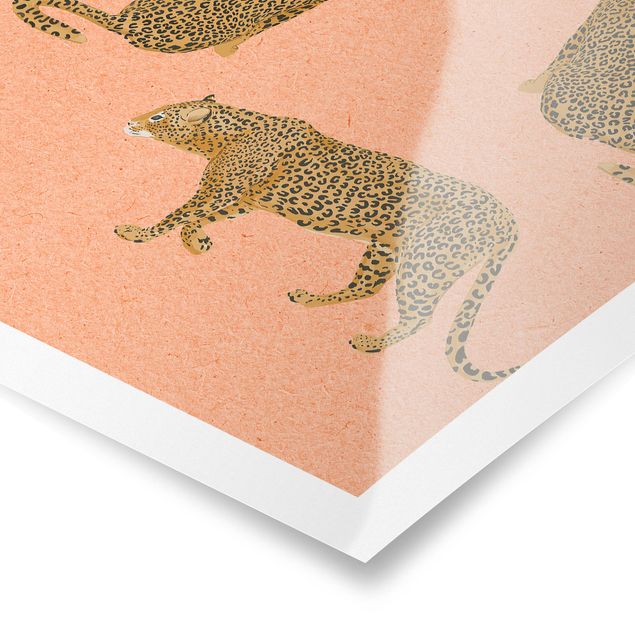 Billeder orange Illustration Leopard Pink Painting