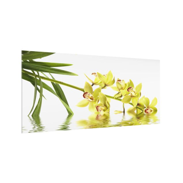 Stænkplader glas Elegant Orchid Waters