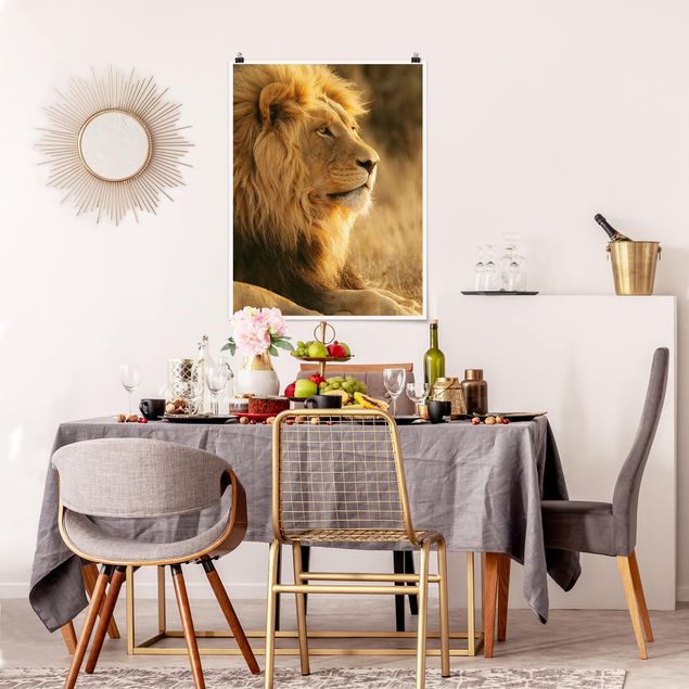 Plakater dyr King Lion