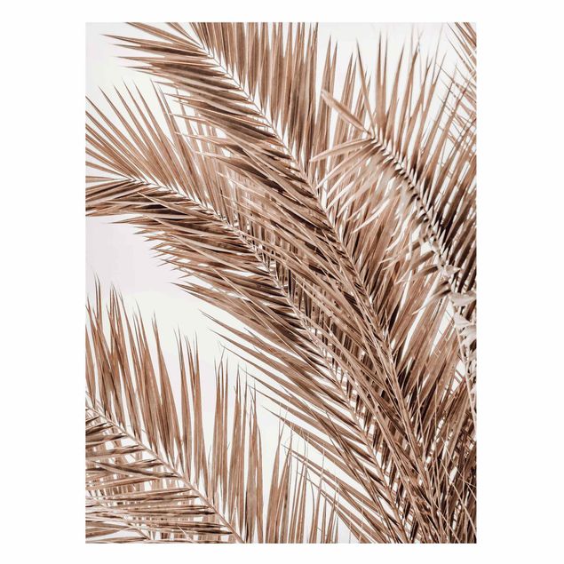 Billeder landskaber Bronze Coloured Palm Fronds