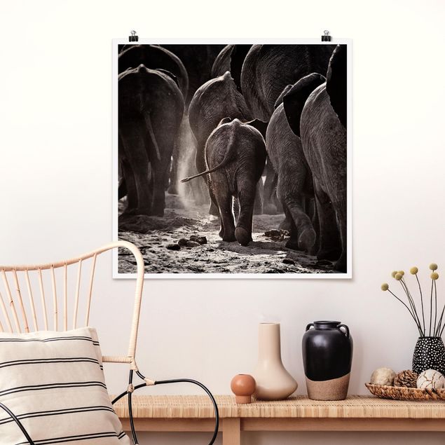 Billeder elefanter Going Home
