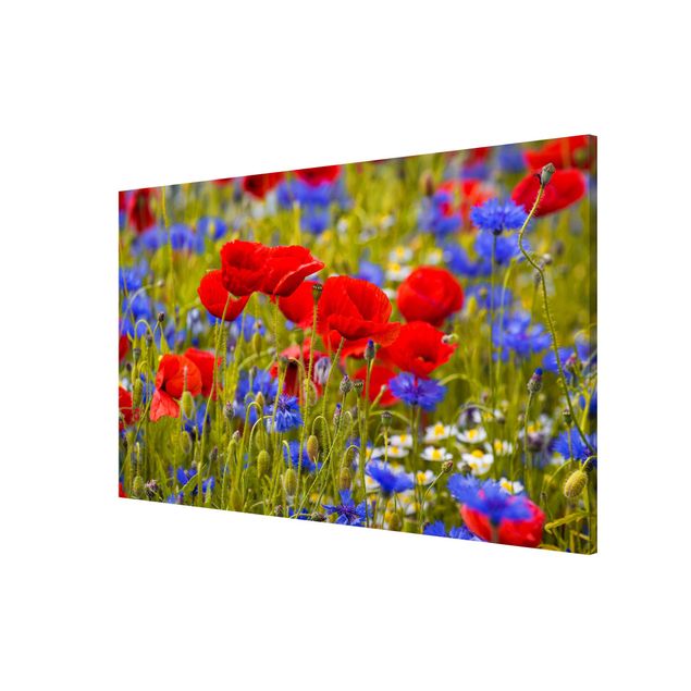 Magnettavler blomster Summer Meadow With Poppies And Cornflowers