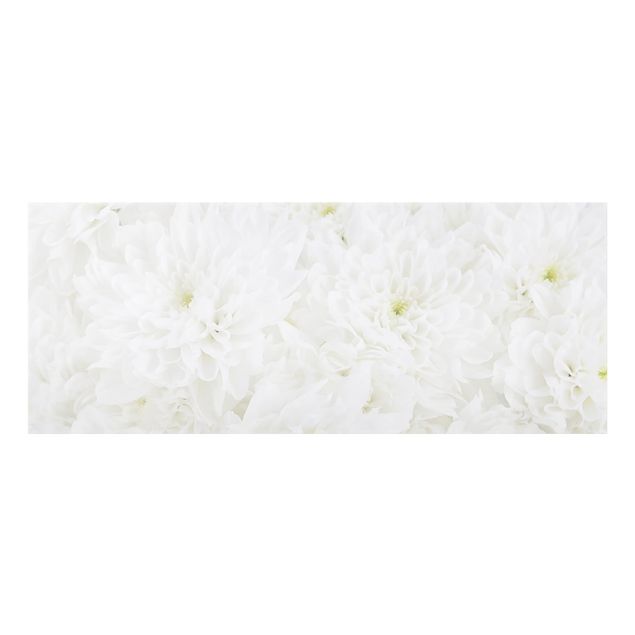 Stænkplader glas Dahlias Sea Of Flowers White