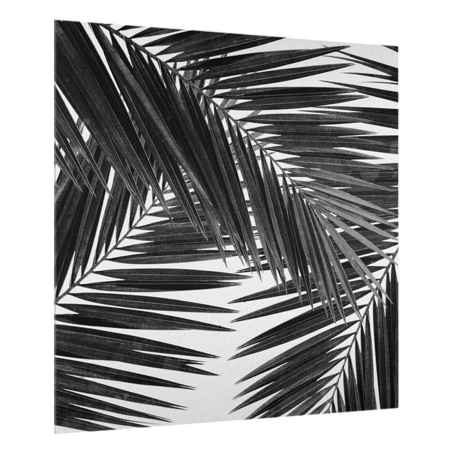 Stænkplader glas View Through Palm Leaves Black And White