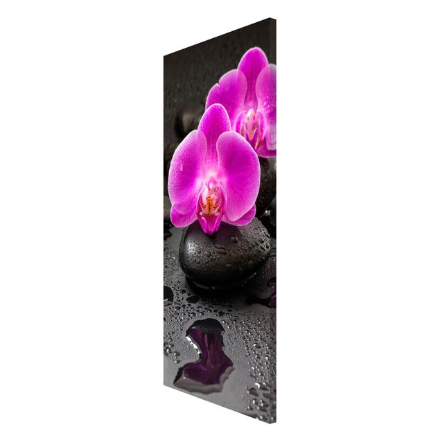 Magnettavler blomster Pink Orchid Flower On Stones With Drops