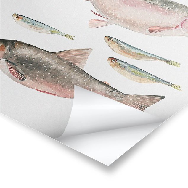 Plakater Seven Fish In Watercolour I