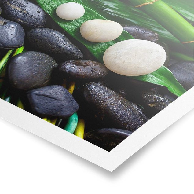 Plakater kunsttryk Green Bamboo With Zen Stones
