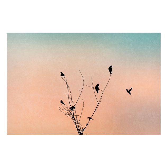Billeder landskaber Birds In Front Of Rose Sun II