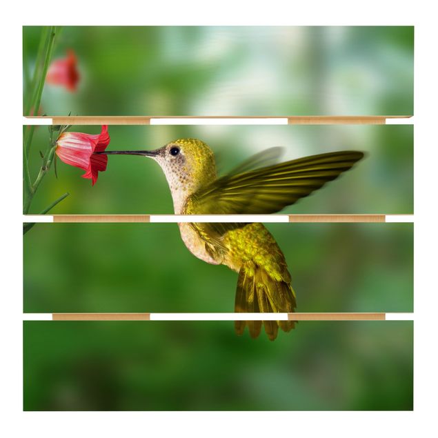 Prints på træ Hummingbird And Flower