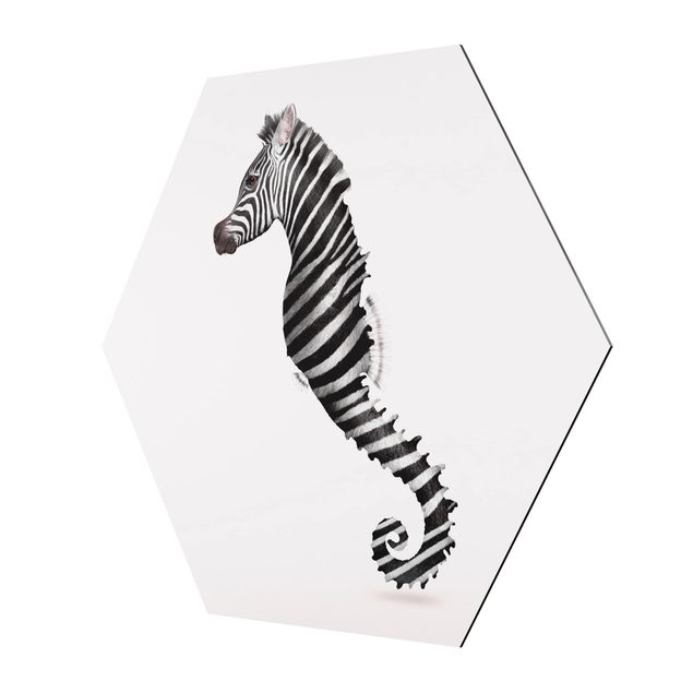 Billeder moderne Seahorse With Zebra Stripes
