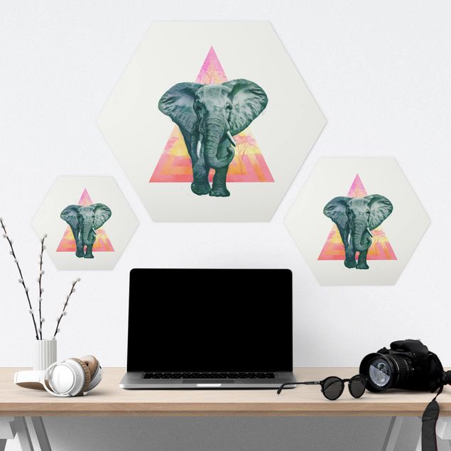 Sekskantede billeder Illustration Elephant Front Triangle Painting