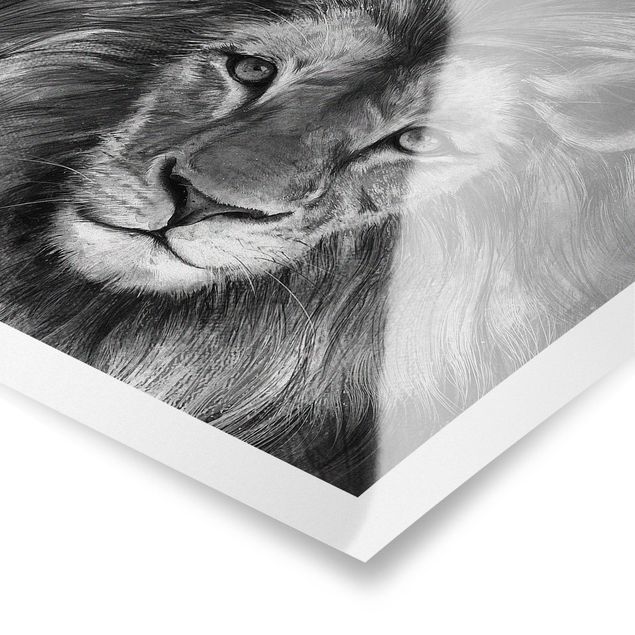 Billeder sort og hvid Illustration Lion Monochrome Painting
