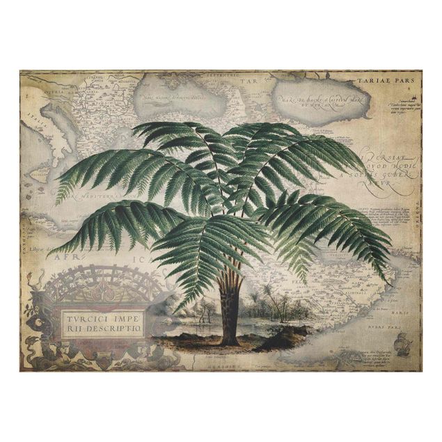 Billeder landskaber Vintage Collage - Palm And World Map
