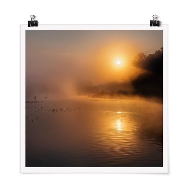 Plakater landskaber Sunrise on the lake with deers in the fog