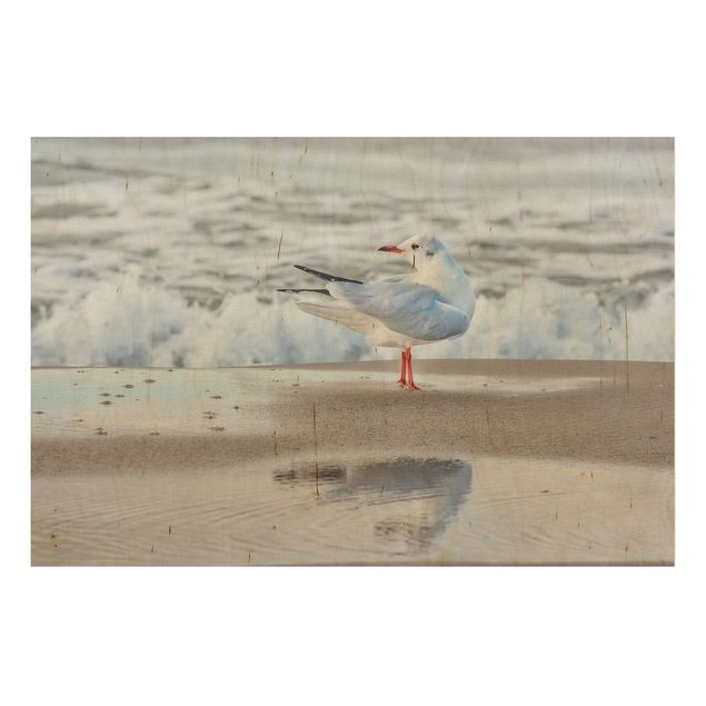 Prints på træ landskaber Seagull On The Beach In Front Of The Sea