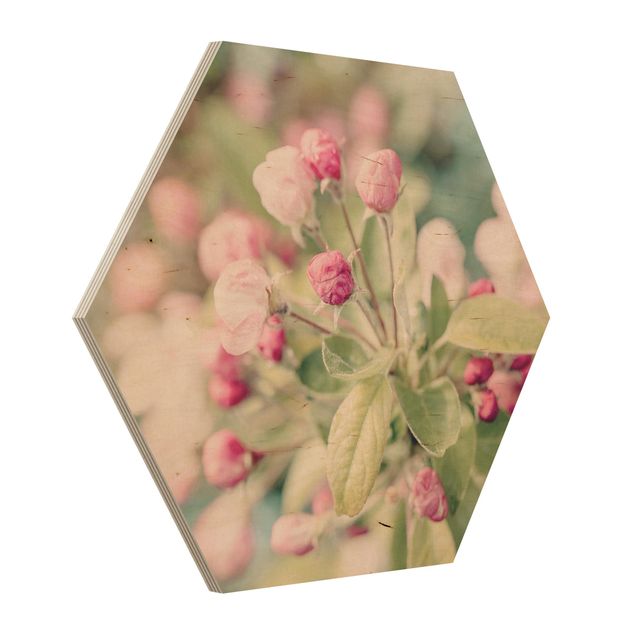 Billeder blomster Apple Blossom Pink Bokeh