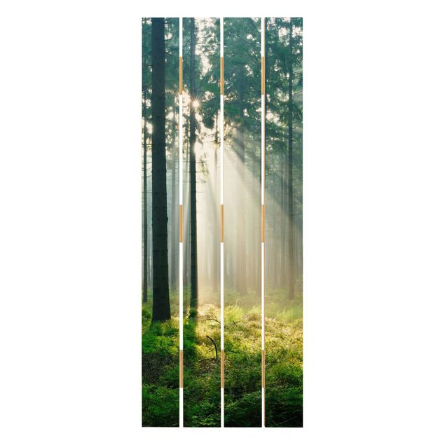 Prints på træ Enlightened Forest