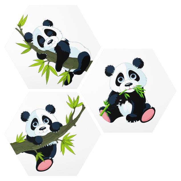 Billeder træer Panda set
