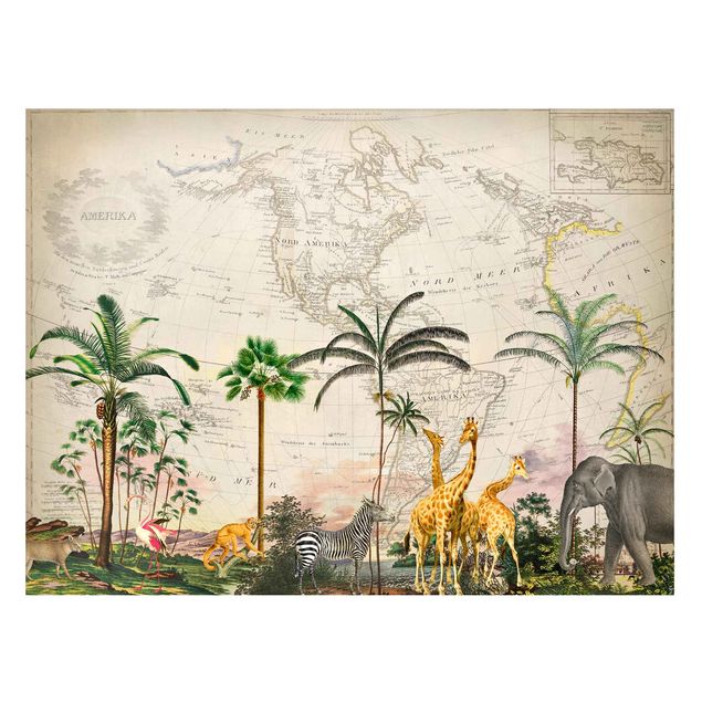 Magnettavler blomster Vintage Collage - Wildlife On World Map