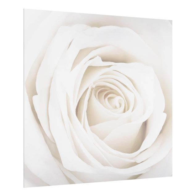 Stænkplader glas Pretty White Rose