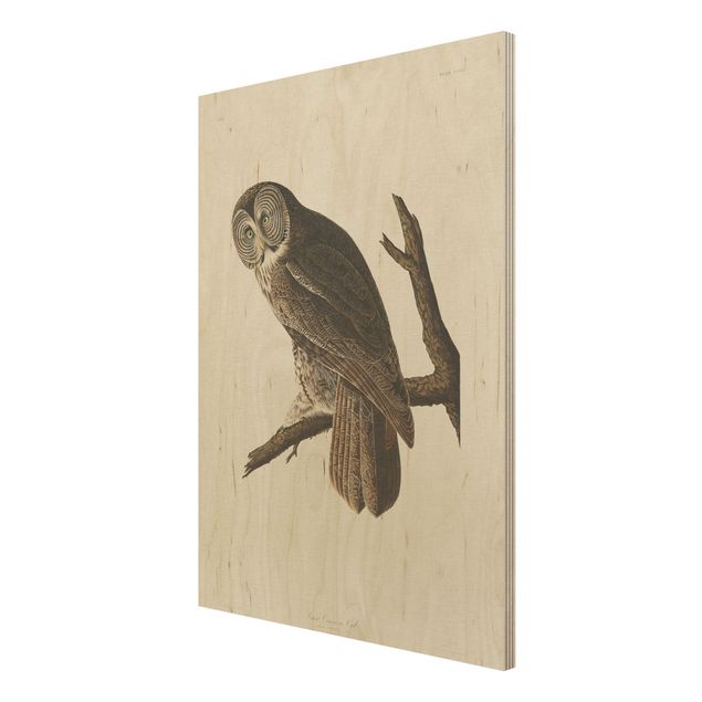 Billeder Vintage Board Great Owl