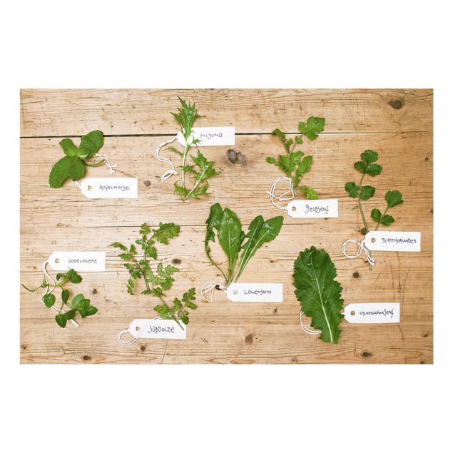 Stænkplader glas Herbs With Labeling