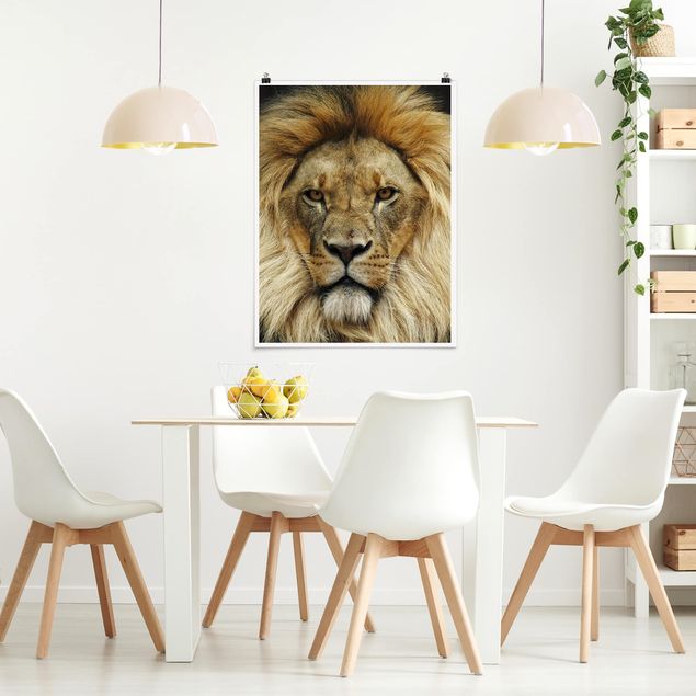 Plakater dyr Wisdom Of Lion