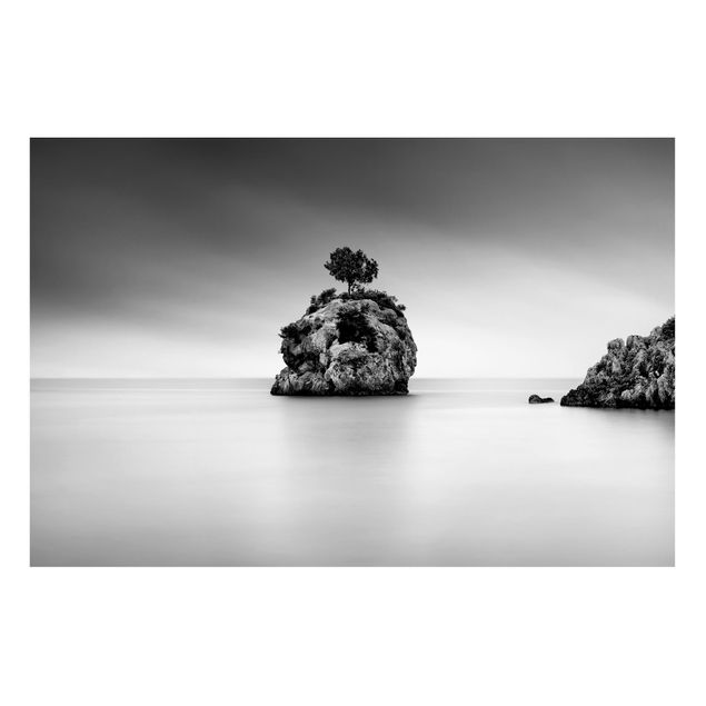 Billeder landskaber Rocky Island In The Sea Black And White